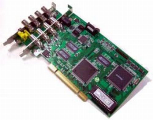 IBP1308