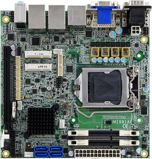 MI981